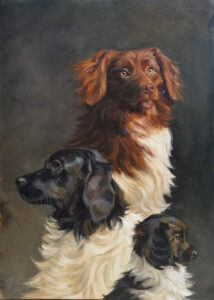 Lumii_20240912_145527090