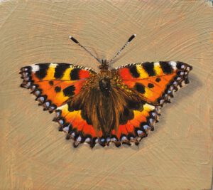 Lumii_20250107_173821044